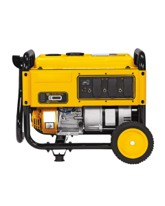 Portable Fuel Generator